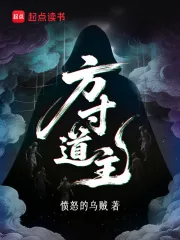 《方寸道主》小说封面