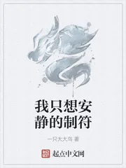《我只想安静的制符》小说封面