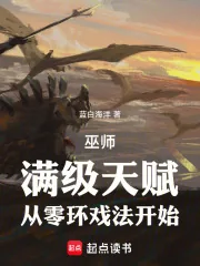 《巫师：满级天赋，从零环戏法开始》小说封面