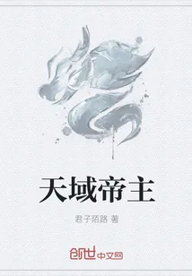 《天域帝主》小说封面