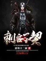 《刺客圣契》小说封面