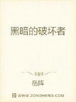 《黑暗的破坏者》小说封面