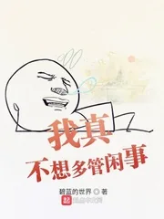 《我真不想多管闲事》小说封面