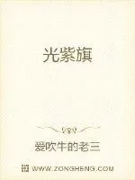 《光紫旗》小说封面