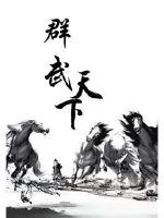 《群武天下》小说封面