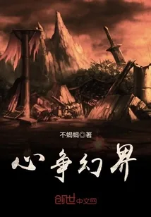 《心争幻界》小说封面