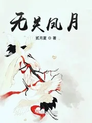 《无关凤月》小说封面
