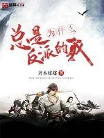 《为什么总是反派的我》小说封面