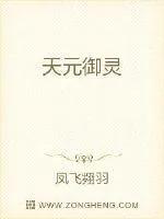 《天元御灵》小说封面