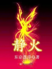 《静火》小说封面