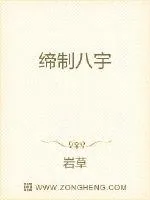 《缔制八宇》小说封面