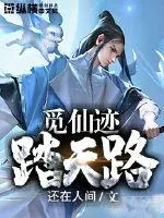 《觅仙迹踏天路》小说封面