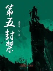 《第五封禁》小说封面