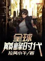 《全球巅峰时代》小说封面