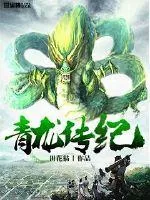 《青龙传纪》小说封面