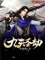 《九天圣劫》小说封面