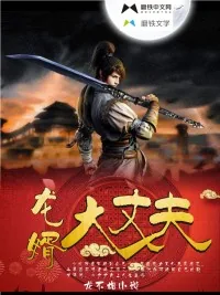 《龙婿大丈夫》小说封面