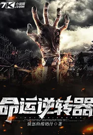 《命运逆转器》小说封面