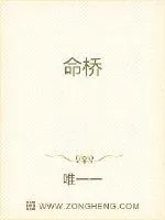 《命桥》小说封面
