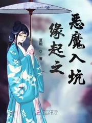 《缘起之恶魔入坑》小说封面