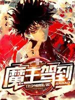 《魔王驾到》小说封面