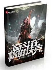 《奋斗在格滋沃克》小说封面