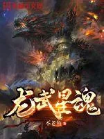 《龙武星魂》小说封面