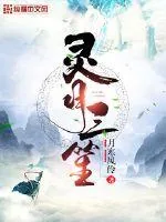 《灵月三笙》小说封面