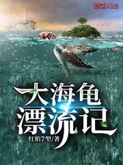 《大海龟漂流记》小说封面