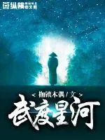 《武度星河》小说封面