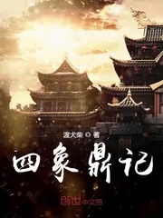 《四象鼎记》小说封面