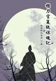 《杨刀官复仇诛魂记》小说封面