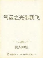 《气运之光带我飞》小说封面