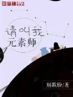 《请叫我元素师》小说封面