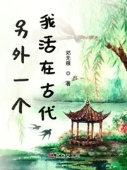 《另外一个我活在古代》小说封面