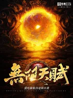 《无限天赋》小说封面