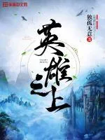 《英雄之上》小说封面