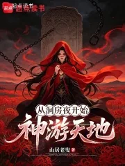 《从洞房夜开始神游天地》小说封面