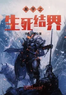 《瀚宇之生死结界》小说封面