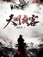 《大明夜客》小说封面