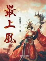 《最上凰》小说封面