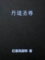 《丹道圣尊》小说封面