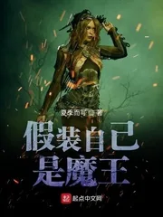 《假装自己是魔王》小说封面