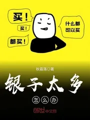 《银子太多怎么办》小说封面