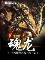 《魂龙》小说封面