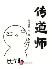 《传道师》小说封面