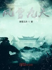 《风雪九天》小说封面
