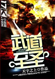 《武道至圣》小说封面