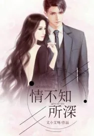 《情不知所深》小说封面