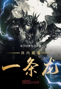 《体内藏着一条龙》小说封面